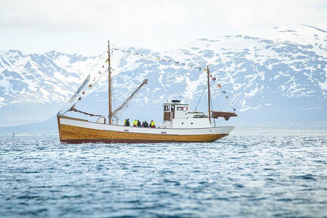 1 Hour Photo & History Cruise - When to go and what to wear in Tromsø wind
