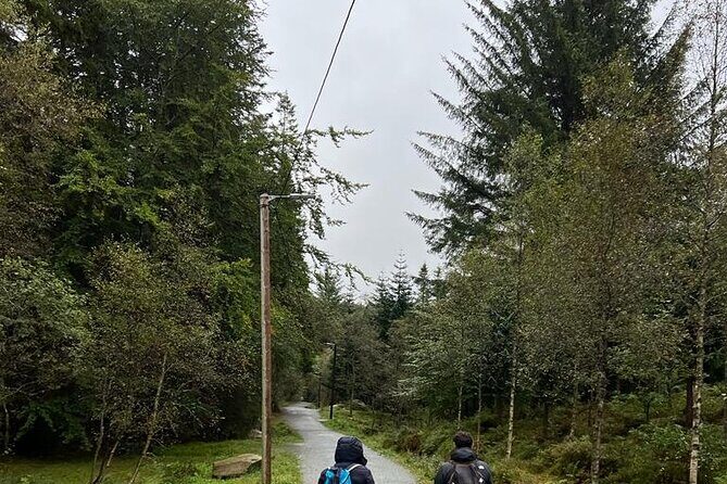 3-Hour Private Tour Hiked through the Bergen Mountains - Views over Bergen, plus the trail “extras” that make it memorable