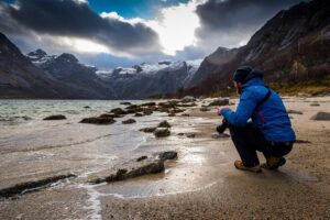 Arctic Nature Tour from Tromsø by minibus - The Minibus Day Plan From Magic Ice Bar Tromsø