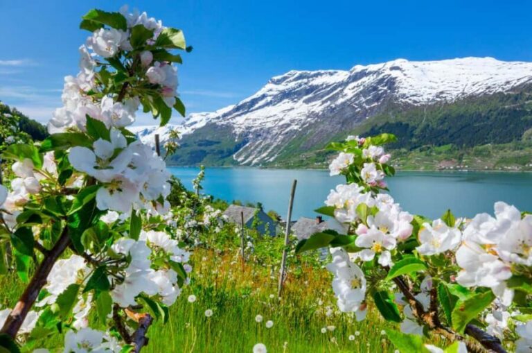 Bergen: Hardangerfjord & Waterfalls Bus Tour with Apple Pie - The waterfall run: Morkholsfossen, Fossen bratte, and Steinsdalsfossen