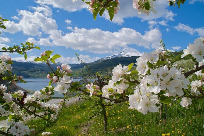 Bergen: Hardangerfjord, Waterfalls, Culture & Apple pie - Steinsdalsfossen: The Stop That Makes People Remember the Day
