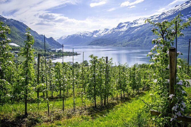Bergen: Hardangerfjord, Waterfalls, Culture & Apple pie - Mørkhølsfossen: A Waterfall Stop That Lets You Breathe