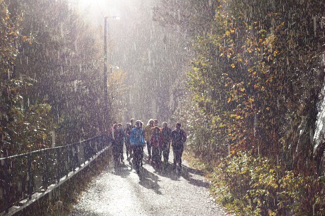 Bergen: Private Walking Tour with a Local - The Walk Itself: Photo Stops, Stories, and Neighborhood Level Details