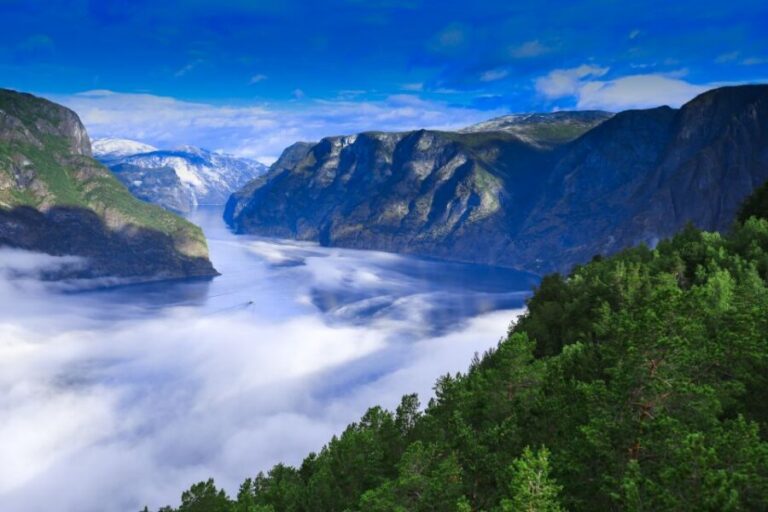 Bergen: Viking Village, Nærøyfjord Cruise & Flåm Railway - Nærøyfjord on an all-electric ferry: why the 2 hours feel like the highlight