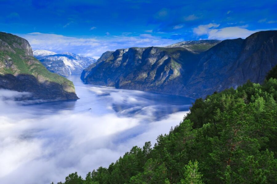Bergen: Viking Village, Nærøyfjord Cruise & Flåm Railway - Nærøyfjord on an all-electric ferry: why the 2 hours feel like the highlight