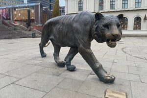 Central Oslo Guided Walking Tour with Local Guide - Central Oslo in 2 hours: what you’ll cover on foot