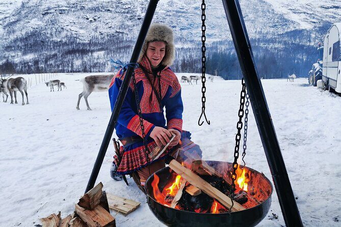 Exclusive Reindeers Experience in small groups, Tromso - Meeting the Sámi hosts: stories you can ask questions about