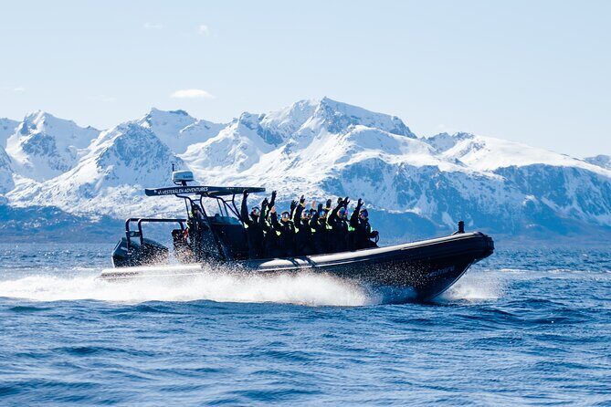 Fjord and Sea Eagle Safari from Sortland - Fjords and Sea Eagles from Sortland: the vibe of the trip