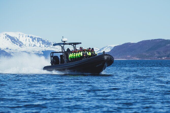 Fjord and Sea Eagle Safari from Sortland - Sortlandsundet fjords: how the route makes the scenery more useful