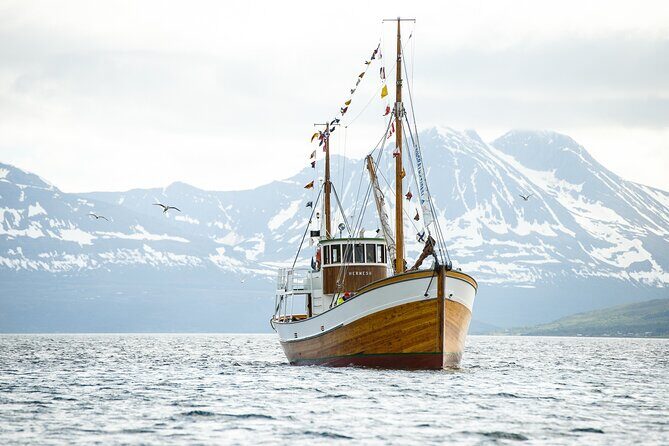 Fjord & History Cruise - Your route: harbor to islands, with three main moments