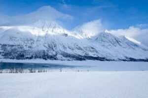Fjord, Mountain and Wildlife Tour - Pickup and Timing: The Half-Day Rhythm in Tromsø