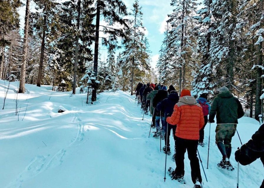 From Oslo: Oslomarka Forest Guided Snowshoeing Tour - Snowshoes 101: the gear briefing you’ll actually use