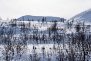 From Tromsø: Advanced Dog Sledding Tour at Camp Tamok - Gear at Camp Tamok: how the included kit changes the whole trip