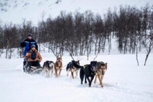 From Tromsø: Dog Sledding Adventure in Tamokdalen - Getting outfitted the right way: the gear set that prevents the trip from feeling miserable