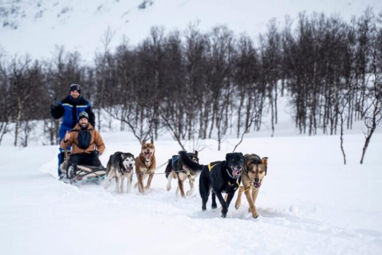 From Tromsø: Dog Sledding Adventure in Tamokdalen - Getting outfitted the right way: the gear set that prevents the trip from feeling miserable