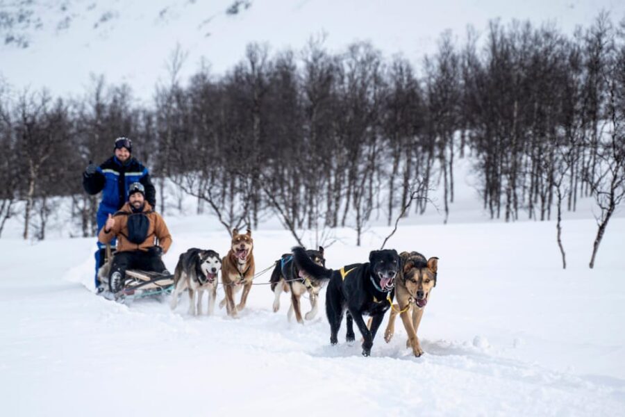 From Tromsø: Dog Sledding Adventure in Tamokdalen - Getting outfitted the right way: the gear set that prevents the trip from feeling miserable