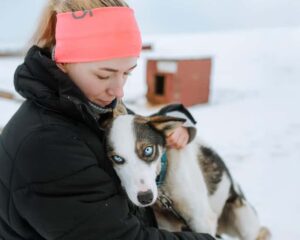 From Tromsø: Dog Sledding Experience with Transfer - Tromsø Pick-Up and the Malangen Stop: how the day stays smooth