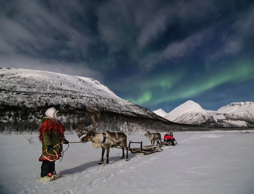 From Tromsø: Evening Reindeer Sledding at Camp Tamok - Tromsø to Tamokdalen: the bus ride that sets your expectations