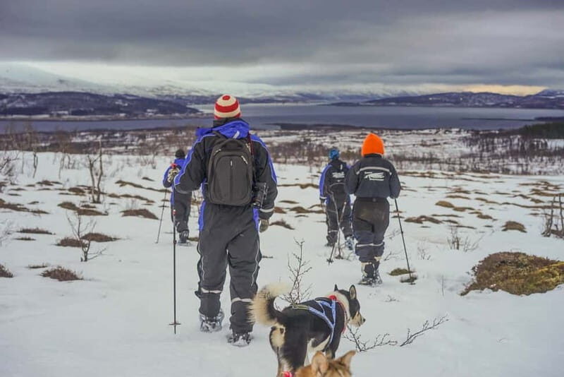 From Tromsø: Guided Husky Snowshoe Hike and Husky Camp Visit - The winter gear you get (and what you still need)