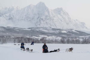 From Tromsø: Husky Experience with Self-Drive Dog Sled Ride - Breivikeidet Camp: Winter Gear + Sea-Valley Views