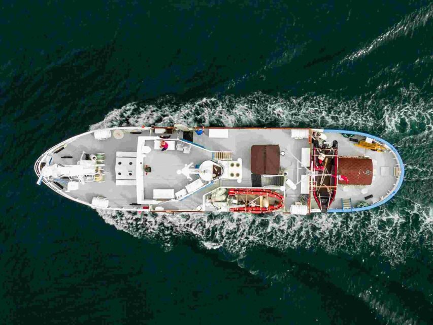 From Tromsø: Northern Lights Cruise on a Cozy Vintage Vessel - Full Steam Tromsø Museum: the 19:00 briefing that makes your eyes sharper