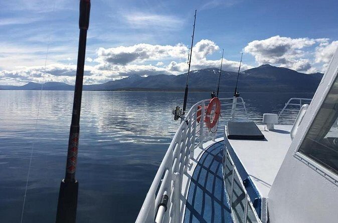 From Tromso: Polar Fishing Adventure - The fishing part: how the crew improves your chances (and keeps it fun)