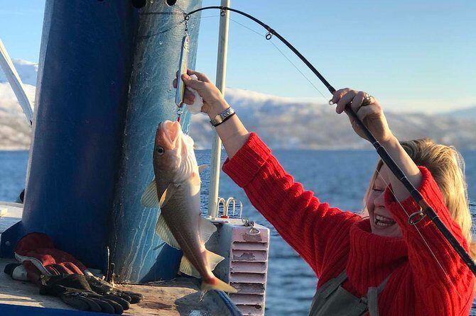 From Tromso: Polar Fishing Adventure - Should you book Polar Fishing Adventure from Tromsø?