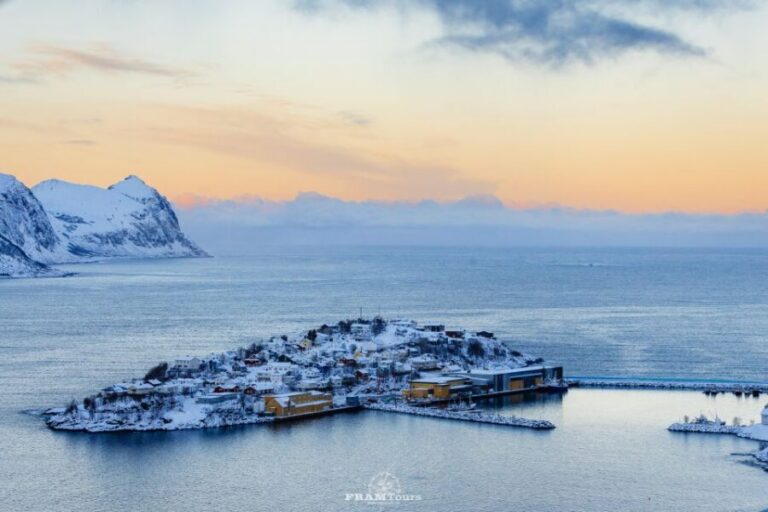 From Tromsø: Senja Discovery Arctic Day Trip with Lunch - Meeting at Yonas Pizza and the 11-hour pacing you should expect