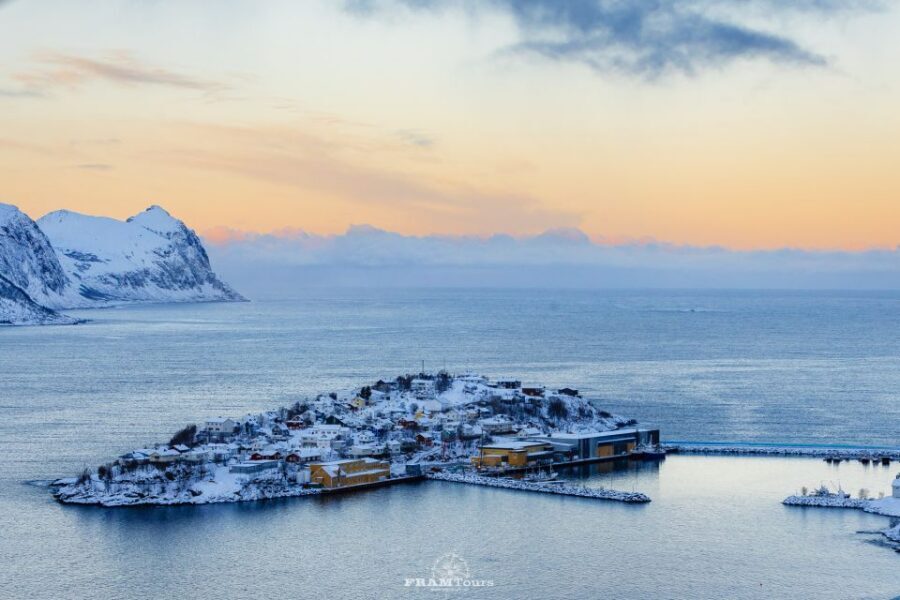 From Tromsø: Senja Discovery Arctic Day Trip with Lunch - Meeting at Yonas Pizza and the 11-hour pacing you should expect