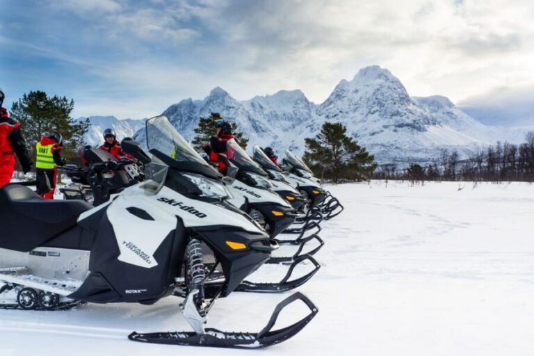 From Tromsø: Snowmobile Safari in the Lyngen Alps - Getting There From Tromsø: Bus, Foot Ferry, Then Minibus to Camp Troll