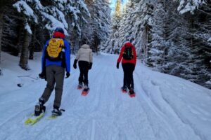 From Tromsø: Snowshoe Hike in the Arctic - Meeting at Clarion Hotel The Edge: how the start actually works