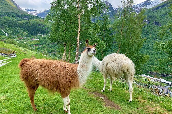 Geiranger by Royal route, 5 hours with visiting a high-mountain farm - Kilsti’s Heart-Shaped Panoramic View Over Storfjord