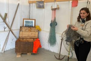 Half Day Arctic Fjord Cruise from Tromso - Stop 1: Ramfjorden for wildlife stories and icy-weather vibes