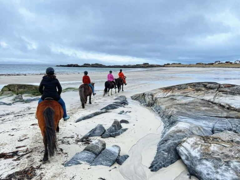Lofoten: Guided Horse Riding Tour Over Hov and Hovsund - Mounting your Icelandic horse and getting control fast