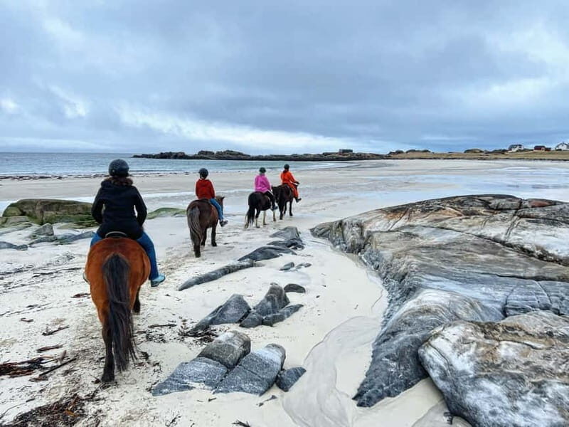 Lofoten: Guided Horse Riding Tour Over Hov and Hovsund - Mounting your Icelandic horse and getting control fast