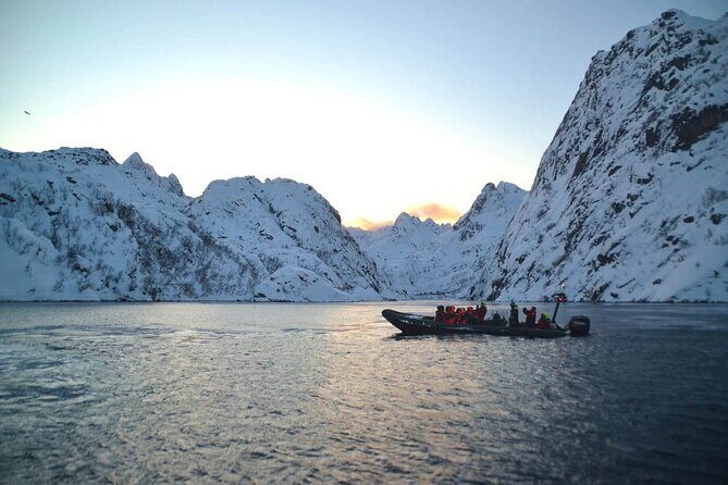 Lofoten RIB Sea Eagle Safari and Trollfjord Cruise - What Could Make This Tour Less Perfect for You