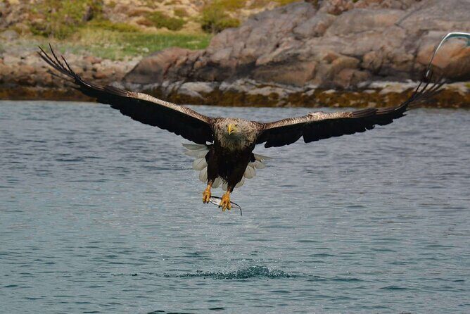 Lofoten RIB Sea Eagle Safari and Trollfjord Cruise - Your Wet-Weather Kit: What’s Included and What You’ll Feel