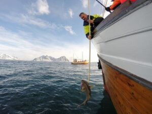 Lofoten: Traditional Fishing Trip - The 4-hour flow: tools, fishing stations, and filleting your catch