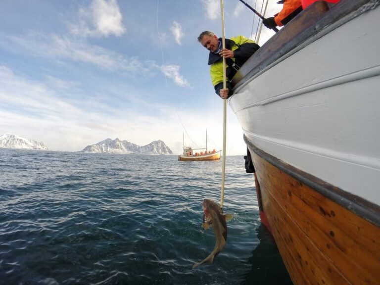 Lofoten: Traditional Fishing Trip - The 4-hour flow: tools, fishing stations, and filleting your catch