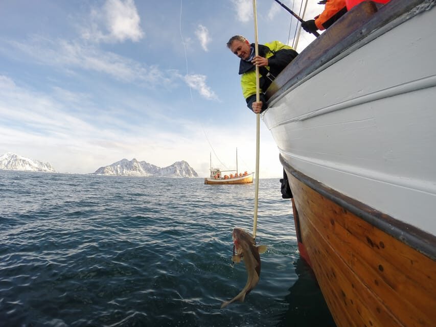 Lofoten: Traditional Fishing Trip - The 4-hour flow: tools, fishing stations, and filleting your catch