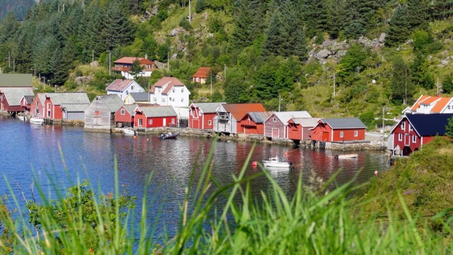 Måløy: Electric Minibus Tour to Kannesteinen - Practical tips for a smoother Kannesteinen stop