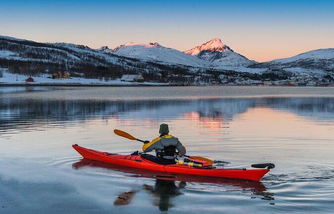 Minivan Northern Lights excursion (8 guests per minivan) - Quick hits before you go