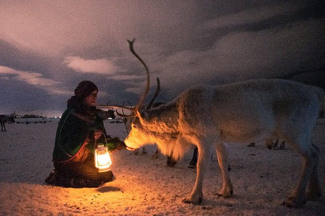 Night Reindeer Sledding with Camp Dinner and Chance of Northern Lights - Small details that can make the night better