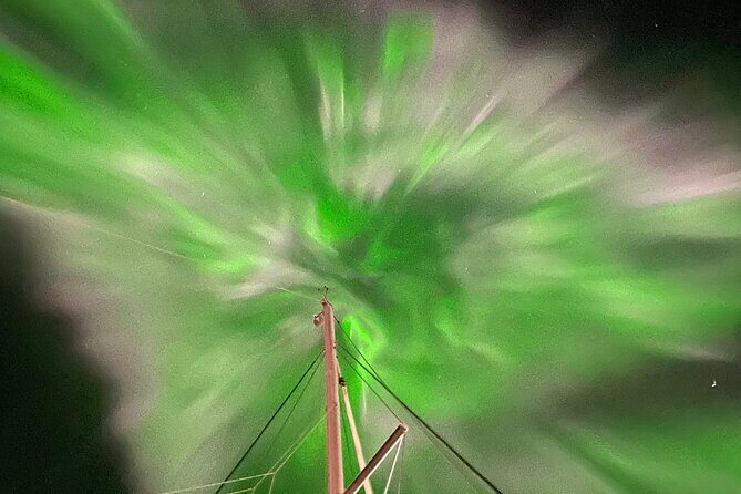Northern Light Cruise With Luxury Catamaran in Tromso, Norway - Deck time on the net: the viewing setup that makes sky-watching easier
