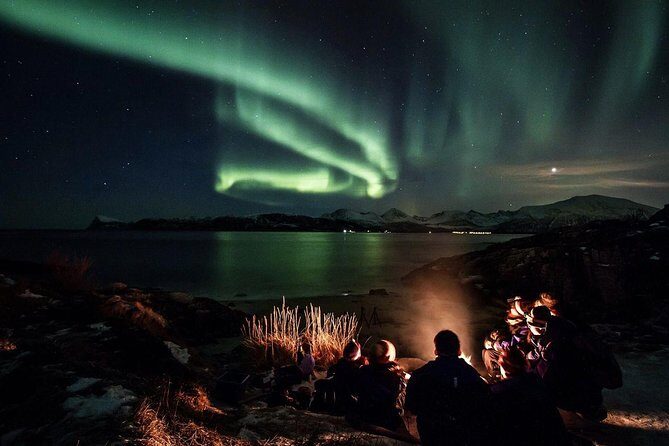 Northern Lights Big Bus Chase with Free Photos - Why this mobile aurora chase beats a fixed viewing spot