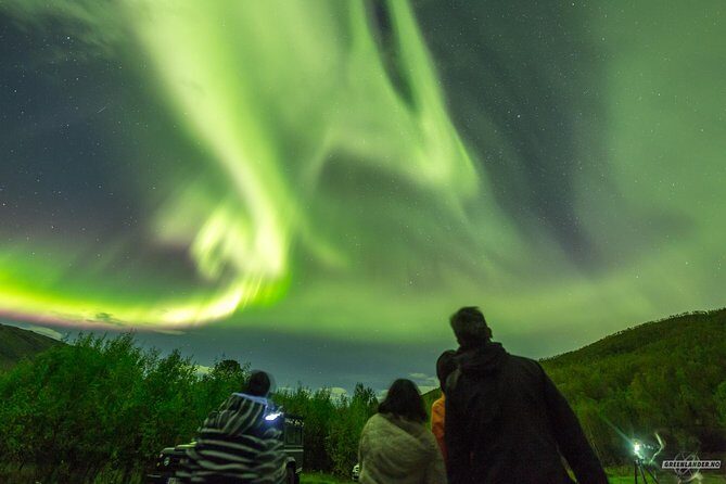 Northern Lights Private tour with your special ones - Greenlander - Your Guide’s Real Job: Tracking Weather and Choosing the Next Stop