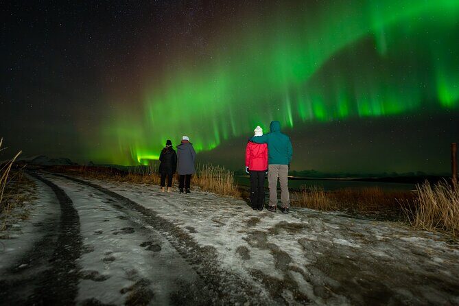 Northern Lights Tours Bodo Norway - Meeting at Tollbugata and Getting Comfortable for a 7:00 pm Start