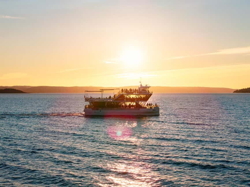 Oslo: 3-Course Dinner & Live Music Cruise on the Oslofjord - Your 3-Course Menu from Restaurant Einer: Seasonal, Pescatarian (With a Plan)