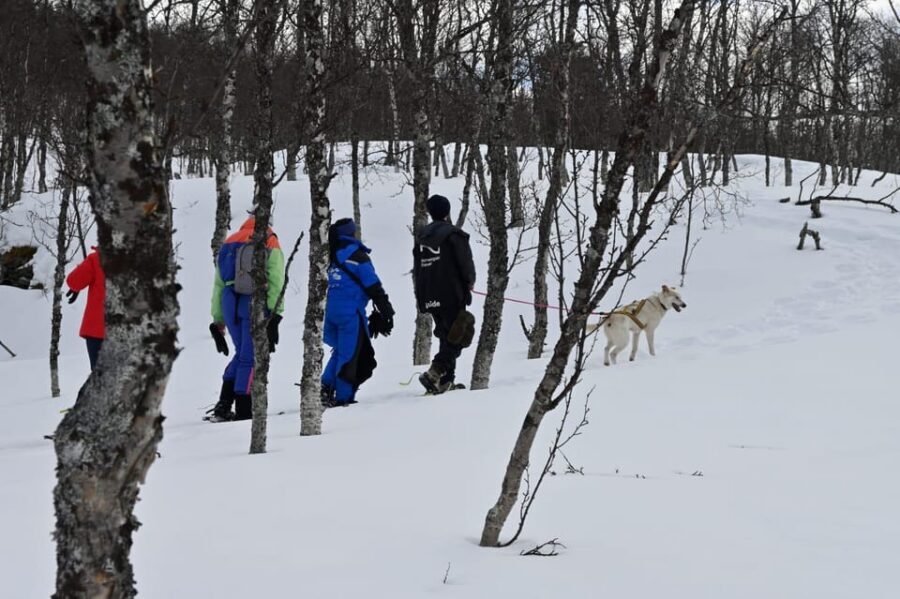 Oslo: Snowshoeing in the Forest with Norwegian BBQ - Snowshoeing Through Oslo’s Forest: Make Your Own Tracks
