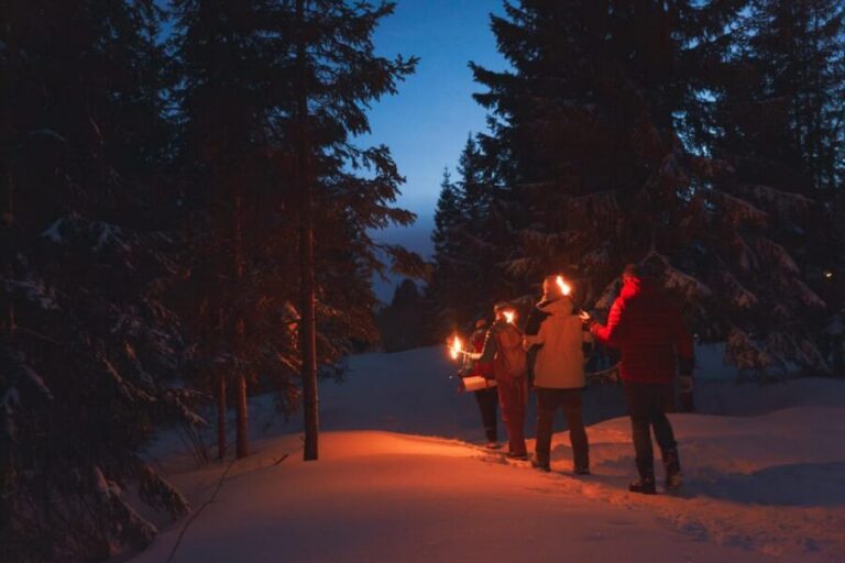 Oslo: Snowy Forest Torchlight Walk with Campfire - The metro ride up to Frognerseteren: a view you don’t have to earn